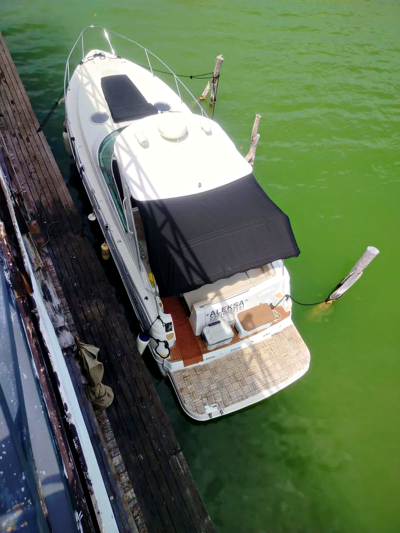 42ft ALEKSA