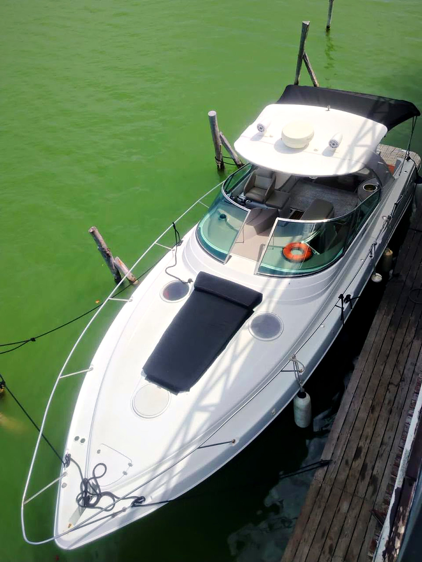 42ft ALEKSA